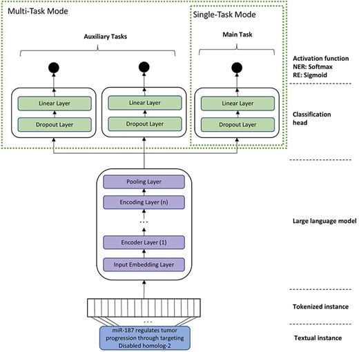 A general architecture of the model for task-specific fine-tuning of domain-specific language models (such as BioBERT and BioMegatron). The STM contains just one head. MTM contains additional heads for each auxiliary task or corpus.