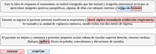 The types of overlapping entity annotations present in the dataset. Snippet 1 represents an entity of one type annotated within the span of an entity of another type; Snippet 2 represents two annotations of the same type which overlap; Snippet 3 represents one entity mention that is labeled as two different classes. Our solution is able to solve the problems that arise from the cases in Snippets 1 and 3.
