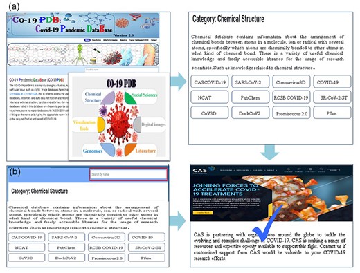 The utilization of CO-19 PDB is facilitated through a user-friendly interface, complemented by detailed stepwise images to enhance the user experience, (a) the search functionality, users can navigate by clicking on the category name, as illustrated in the provided insight; (b) users have the option to search for the required database by entering its name in the prominently highlighted search bar.
