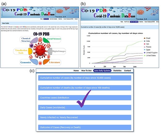 A thorough overview of the detailed methods for utilizing CO-19 PDB. (a) The user guidance page is a separate section that provides comprehensive details on using the database, offering insights into navigating the platform, and accessing information effectively. (b) This page provides comprehensive information on auto and daily updates. (c) The conclusive results and records of the gathered data and information.