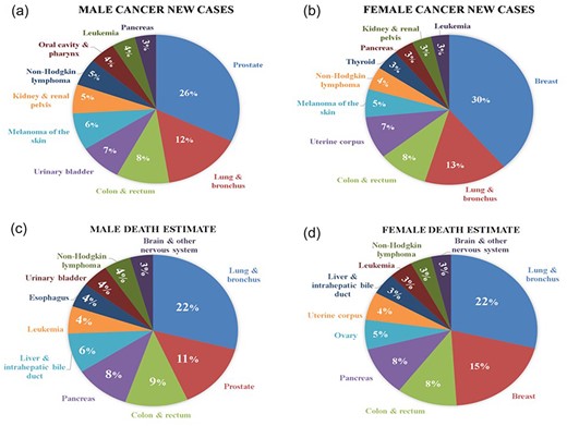 The number of new cancer cases and mortality rates during the COVID-19 period. (a and b) The number of new cancer cases among both males and females during the COVID period and (c and d) detailed insights into the mortality estimates among both males and females during the COVID-19 period.
