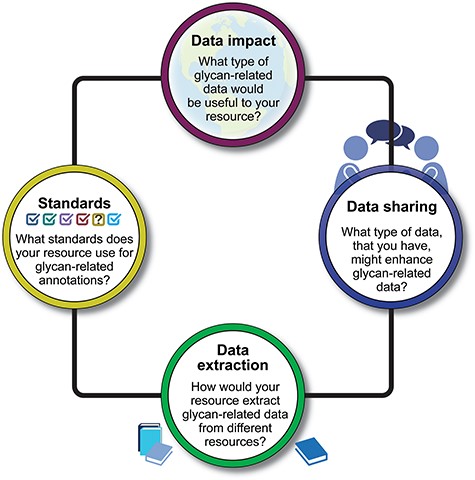 A visual summary of four key questions posed during the workshop. The responses to these questions provide insights into the diverse approaches and strategies employed by the workshop participants in addressing crucial aspects of glycan function annotations.
