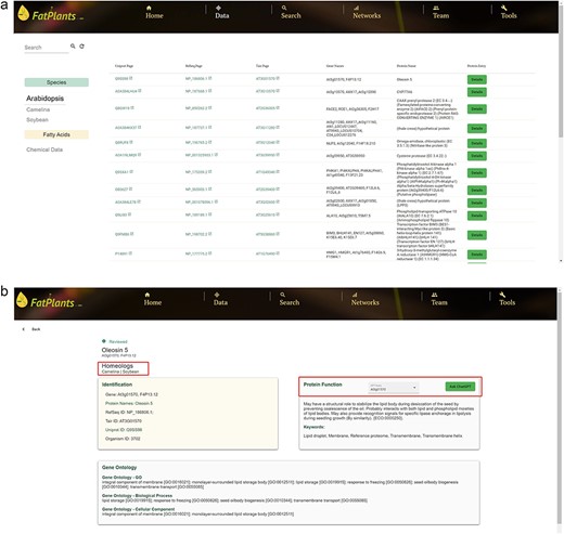 FatPlants data browse page. (a) The main data browse table. (b) The information card page for a selected protein with homologs and ChatGPT features.