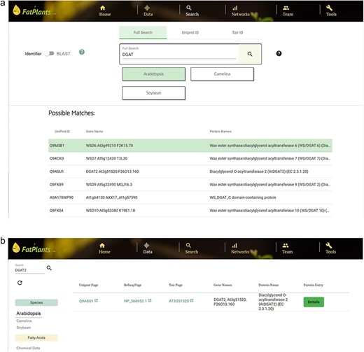 A use case for searching diacylglycerol O-acyltransferase 2, with gene symbol DGAT2. (a) Match results using ‘DGAT’ as the input on the ‘Search’ page. (b) Search result for ‘DGAT2’ on the ‘Data’ page by selecting the target species (Arabidopsis).