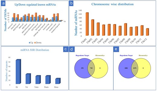 Details of drought-responsive miRNAs in rice identified from multiple miRNA-omics studies. (a) The genotype-wise distribution of upregulated and downregulated known miRNAs under drought stress in rice; (b) chromosome-wise distribution of novel miRNAs in rice; (c) the repeat distribution of SSR specific to drought-responsive known miRNAs in rice; (d and e) evaluation of the target genes (of the known (d) drought responsive and novel (e) miRNAs) in RiceMetaSys database for their drought responsiveness.
