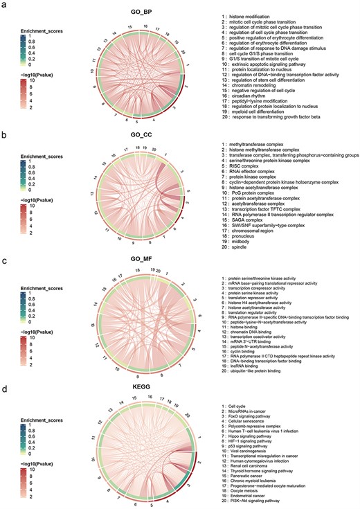 Chord diagram of GO and KEGG enrichment.