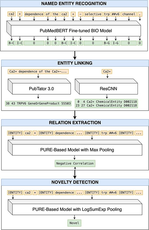 An end-to-end pipeline for RE and ND. Article title: Ca2+ dependence of the Ca2+-selective TRPV6 channel (abstract omitted for clarity).