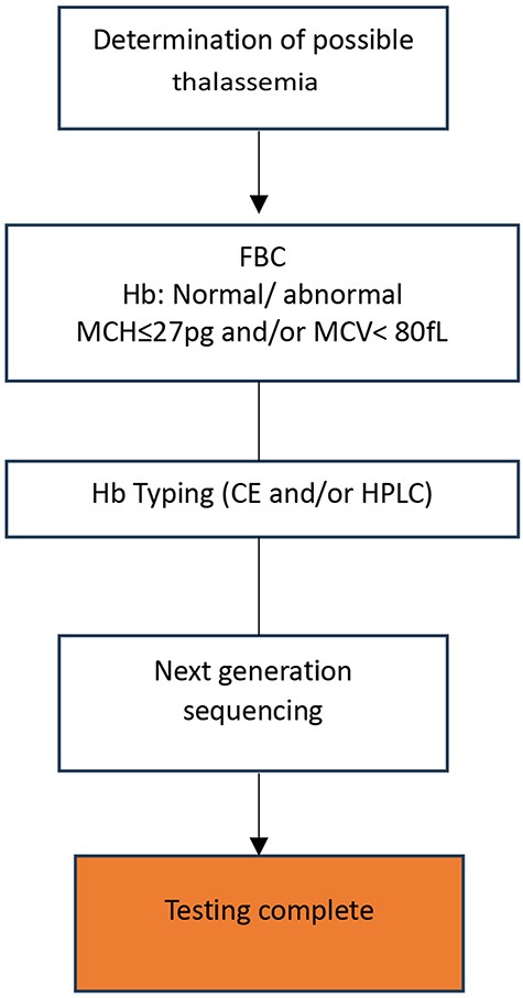 Proposed workflow for thalassemia screening and diagnosis using next-generation sequencing (NGS).