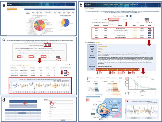 This figure demonstrates a comprehensive view of ncStem.