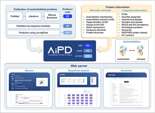 This figure illustrates the AiPD database’s goal to catalog all known autoinhibited proteins, detailing their autoinhibitory domains (AIDs), regulated target domains, regulatory mechanisms, disease associations.