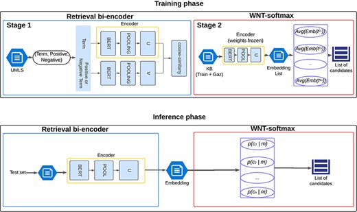 Complete pipeline broken down into two phases: training phase and inference phase. In the training phase, the bi-encoder is trained using a triplet strategy and contrastive learning, and based on the embeddings generated by this bi-encoder for the training set and the gazetteer, the WNT-softmax is trained. In the inference phase, the embeddings for the test set are generated and classified, resulting in a list of candidate codes for each mention.