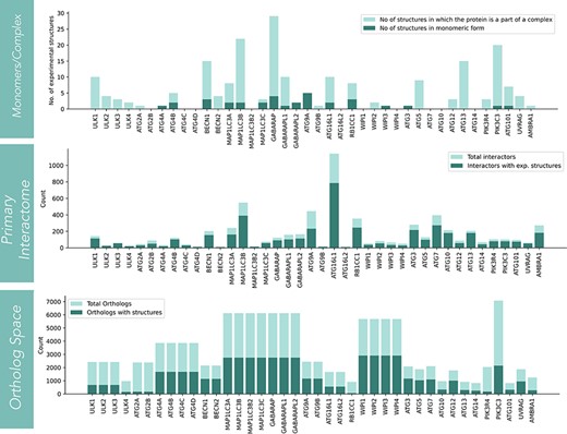 Alt text: Bar charts depicting the statistics of the structural coverage for human core autophagy proteins, their interactors and orthologs.