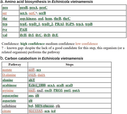 Annotating metabolic pathways with GapMind. (a) Amino biosynthesis in Echinicola vietnamensis DSM 17526. This screenshot shows biosynthetic pathways for five of the amino acids along with the key for the color coding. (b) Carbon catabolism in E. vietnamensis. This screenshot shows catabolic pathways (or the lack thereof) for nine compounds. Transporters, which are more challenging to annotate, are shown with a gray background.