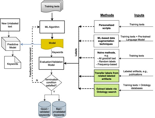 Potential approaches for validating ML-generated keywords for unlabeled texts when human labels are unavailable; our proposed approaches are shown in green.