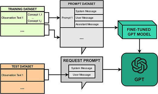 Fine-tuning workflow.