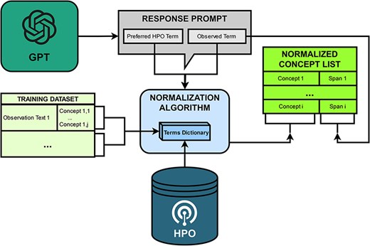 Normalization workflow.