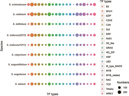 Comparative distribution of the top 20 TFs in SesamumGDB.