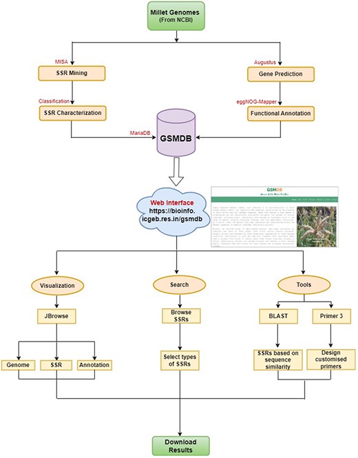 Database architecture and user interface: a complete workflow.