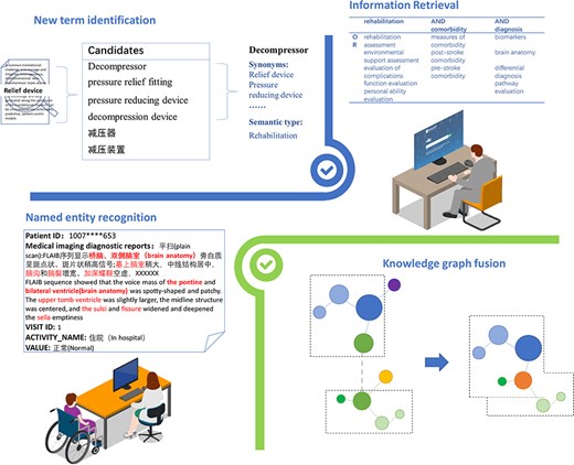 The application and scenario. The proposed ontology could be used for new term identification, information retrieval, named entity recognition, and knowledge graph fusion.