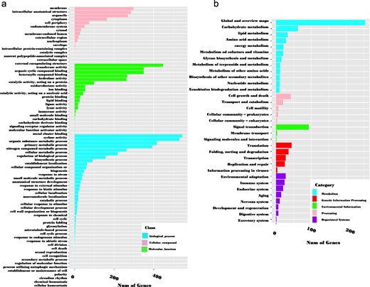 GO classification (a) and KEGG metabolic pathway mapping (b) of 3341 genes containing SSRs.