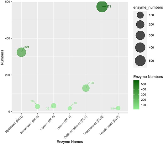 The distribution of enzymes categories in genic sequences harboring SRR.