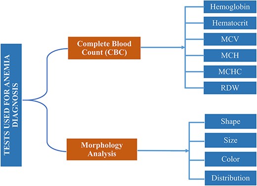 Clinical tests complete-blood-count (CBC) and morphology analysis are used for anemia diagnosis.