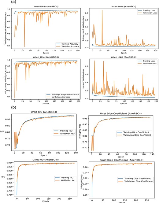 (a) Training progress of Atten_UNet on AneRBC-I and AneRBC-II. (b) IoU and Dice-Coefficient of UNet on AneRBC-I and AneRBC-II. (c) IoU and Dice-Coefficient of LinkNet on AneRBC-I and AneRBC-II.