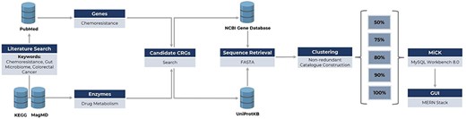 Framework of MiCK development, including (i) literature search for the identification of genes/enzymes linked to chemoresistance, (ii) retrieval of respective gene and enzyme sequences from NCBI Gene and UniProtKB databases, and (iii) sequence clustering for constructing MiCK using MySQL Workbench.