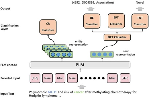 The overall architecture of our proposed JTIS model.