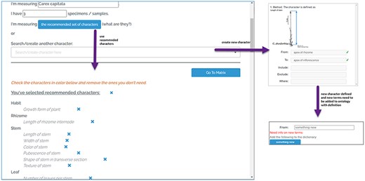The character setup page of Character Recorder, accessible after logging in.