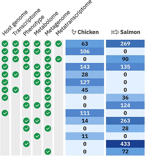 Overview of the multiomic samples available in the HoloFood Data Portal for each system. Different multiomics sample sets were extracted from animals in multiple trials and time points. Each row shows how many individual animals are available covering that multi-omic combination. Combinations are shown where at least five individuals are available (which excludes eight chickens and two salmon). ‘Phenotype’ encompasses several experiment types: inflammatory markers, histology, fatty acids, iodine, and heavy metals; half of the 433 salmon with only phenotypic data have more than one phenotypic sample type.