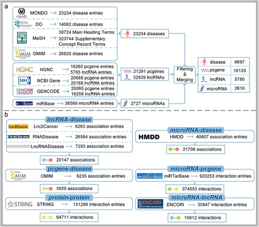 The data collection process of DisGeNet: (a) the collection of node information and (b) the collection of link information.