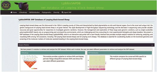 The graphical interface of BbGSD. The seven modules in the BbGSD application provide different functions.