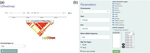 An example heat map generated using the LD heatmap module of BbGSD. (a) A heat map of patterns of LD, measured as r2. Each colored rectangle represents the squared correlation (r2) between a pair of SNPs. The structure of annotated gene models is displayed on top of the heat map. (b) User-interactive panel for filtering SNP site parameters.