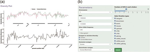An example of the Diversity module. (a) The top panel displays the nucleotide diversity between LPBB and LPN sheep, indicated by different colors. The bottom panel shows the division of nucleotide diversity in LPBB and LPN. (b) An option panel contains SNP sliders and SNP effects select boxes that allow the user to restrict certain SNP sites.