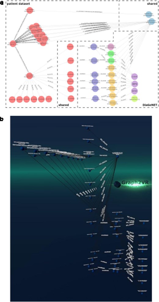 (a) GraphDB layout after manually ordering the nodes. An overlay was added to distinguish which nodes belong to which dataset. The different colours indicate that the nodes have different rdf:types (e.g. light blue being a gene and dark blue a “Disease, Disorder or Finding”). However, not all data was colour-labelled by GraphDB, probably due to the use of a federated query where some data might not have been automatically processable for these functionalities. (b) Graph2VR visualisation using the hierarchical view as layout (not the class hierarchy). Comparison of data visualisations of GraphDB and Graph2VR.