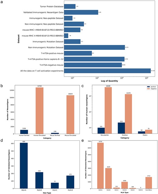 Neoantigen data statistics. (a) Distribution of neoantigen counts across 12 categorized datasets on the download interface. (b) Counts of validated and simulated neoantigens in human and mouse datasets. (c) Counts of immunogenic and nonimmunogenic neoantigens categorized by peptide length, including short peptides, mutated peptides, and tumor proteins. (d) Four HLA alleles matched with validated human neoantigens. (e) Six HLA alleles matched with simulated human neoantigens.