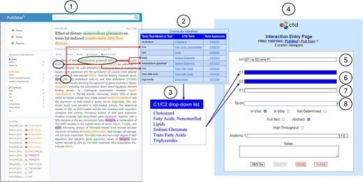 CTD/pubtator integration. CTD biocurators typically curate the literature using PubTator’s online interface (circle 1). An excerpt is provided of the Text Mining Summary Report (circle 2), which summarizes the chemicals identified by PubTator that are relevant to CTD. The fully normalized MeSH chemical terms are aggregated to create a distinct list of chemicals identified by PubTator (circle 3). CTD biocurators can use this list to enter an interaction during curation via the CTD CAPP’s Interaction Entry Page (circle 4). The biocurator enters structured notation into the Interaction field (circle 5) to indicate that two co-treated chemicals (C1 and C2) result in the increase of a phenotype (P1). The C1, C2, and P1 fields are dynamically generated to accommodate entry of the respective terms (circles 6–7). Note the deep blue background for the C1 and C2 fields (circle 6); this indicates to the biocurator that there is a drop-down list (circle 3) available for use; the biocurator may either pick from this drop-down list or manually enter any valid term. The P1 field (circle 7) has a white background, indicating there is no associated drop-down list, so the biocurator must manually enter a valid term. The Taxon field (circle 8) always contains a drop-down list of the most curated species at CTD (i.e., Homo sapiens, Mus musculus, Rattus norvegicus, Canis lupus familiaris, Danio rerio, and Oryctolagus cuniculus); this list is supplemented, at the top, with any additional species identified by PubTator.