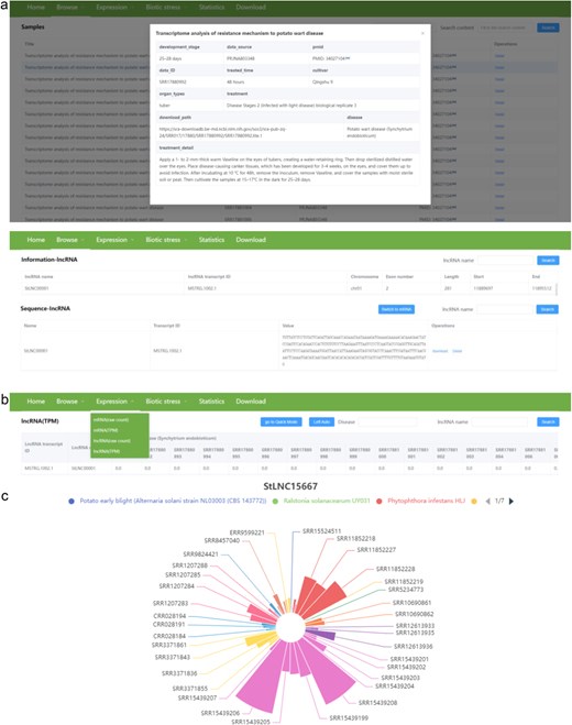The user interface of the “Browse” and “Expression” contents in PotatoBSLnc. (a) The data displayed after clicking the “Samples,” “Information,” “Sequence” sub-menus in the “Browse” menu. (b) The “Expression” dropdown options. (c) The figure displayed after clicking the StLNC15667 corresponding row in the lncRNA (TPM) page.