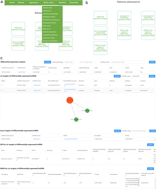 The user interface of the “Biotic stress” content in PotatoBSLnc. (a) The “Biotic stress” dropdown options. (b) The entries displayed after clicking each of the 12 biotic stress-lncRNA sub-menu. (c) The data displayed after clicking some entries in (b).