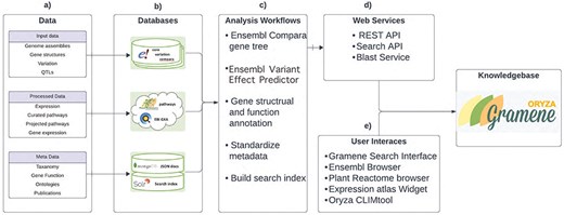 A schematic view of the data model and website functions. A system level view of the core functionality of the GrameneOryza site