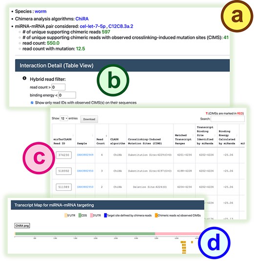 The detail page in mirTarCLASH. (a) The query settings for the miRNA–mRNA pair under investigation. (b) The confidence filters for the listed pairs. The detailed search results of a specific miRNA–target transcript pair in the tabular (c) and graphical (d) view.