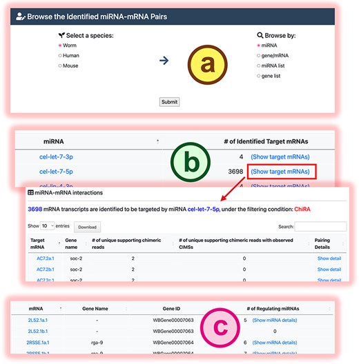 The browse mode in mirTarCLASH. (a) The browse settings. (b) The listed miRNA results when users intend to browse by miRNA. (c) The listed mRNA results when users intend to browse by mRNA. Click the “Show detail” link or the “Show miRNA details” link, and the detailed chimeric read information of the specific miRNA-mRNA pair will be provided as the search detail page.