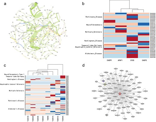 The whole map of the the network of neurological diseases related cell signaling transduction pathways, and figures of heatmap generated from disease data collected from DiSignAtlas website and the PPI network of TUBA4A from NDAtlas website.