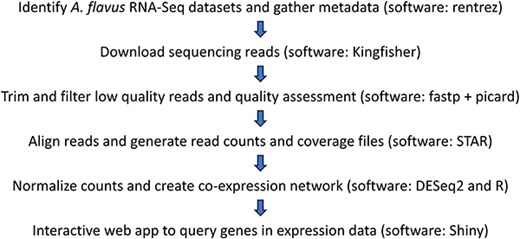 Schematic overview of data collection and processing steps for the AFED.