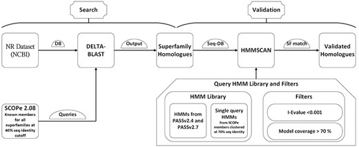 GenDiS3 workflow for search and validation of homologs.
