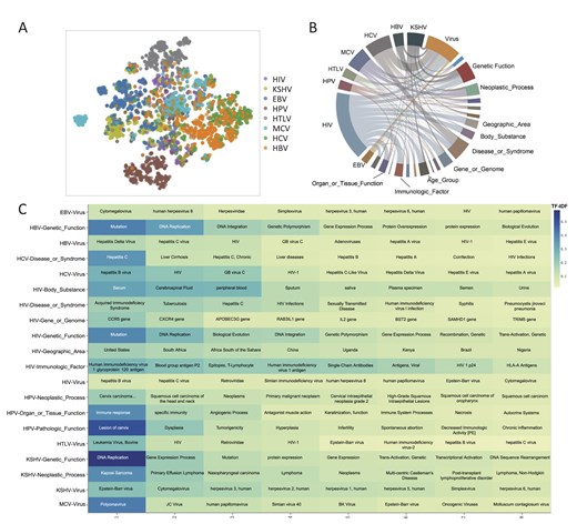 Analysis of the importance of viral carcinogenic factors. (A) The t-SNE plot of TF–IDF for eight types of viruses. Each point represents a document. A higher overlap of points from different viruses indicates greater similarity between the documents of those viruses. (B) Co-occurrence degree between virus terms and semantics. The co-occurrence degree is computed by taking the log of the P-value from the Fisher test. If there is a connection between a virus and a semantic term, it indicates a P < .05. In the plot, a larger segment area indicates a higher degree of co-occurrence. (C) Top 8 entities, sorted by TF–IDF, that have high co-occurrence with virus terms. The deeper the color, the higher the TF–IDF value.