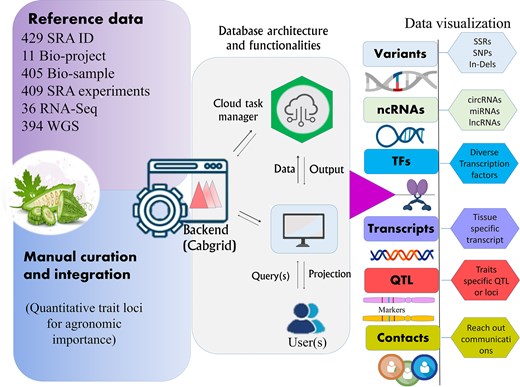 An overview of the architecture and functionality of the developed web resource for bitter gourd, designed to provide access to key molecular footprints derived from complex genomic data, supporting breeding efforts for trait improvement.