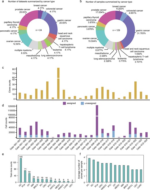 Statistics in ScLineageAtlas. (a) Number of datasets summarized by cancer type. (b) Number of samples summarized by cancer type. (c) Clone counts summarized by dataset. (d) Assigned and unassigned cell counts summarized by dataset. (e) and (f) illustrate the distribution of total clone numbers and average clone numbers per sample across different cancer types, respectively. PC: pancreatic cancer; OV: ovarian cancer; CRC: colorectal cancer; GC: gastric cancer; HNSCC: head and neck squamous cell carcinoma; PTC: papillary thyroid carcinoma; PCa: prostate cancer; BRCA: breast cancer; HSTCL: hepatosplenic T-cell lymphoma; LEU: leukaemia; LUAD: lung adenocarcinoma; MESO: mesothelioma; and MM: multiple myeloma.