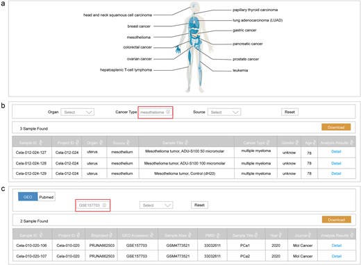 Data retrieval functionality. (a) Interactive human organism maps visually representing cancer type information; (b) a search interface based on clinical information; and (c) a search interface based on reference metadata.